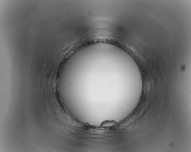 X0000090720661200707201015