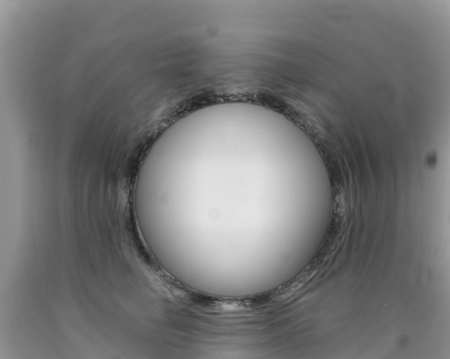 X0000090720662200707201015