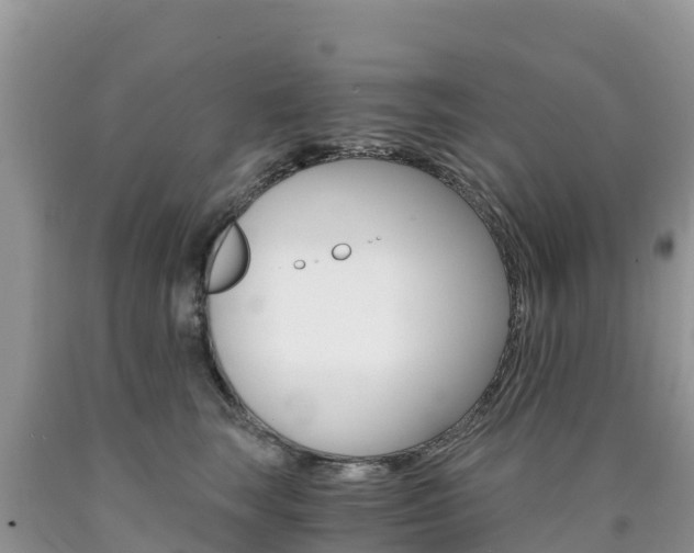 X0000090720663200707201015