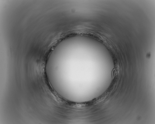 X0000090720664200707201015