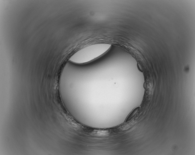 X0000090720665200707201015