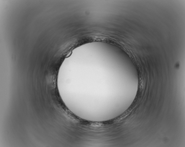 X0000090720666200707201015