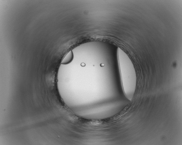 X0000090720668200707201015