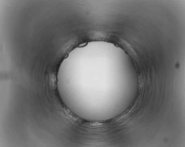 X0000090720669200707201015