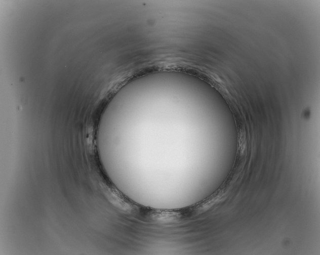 X0000090720670200707201015