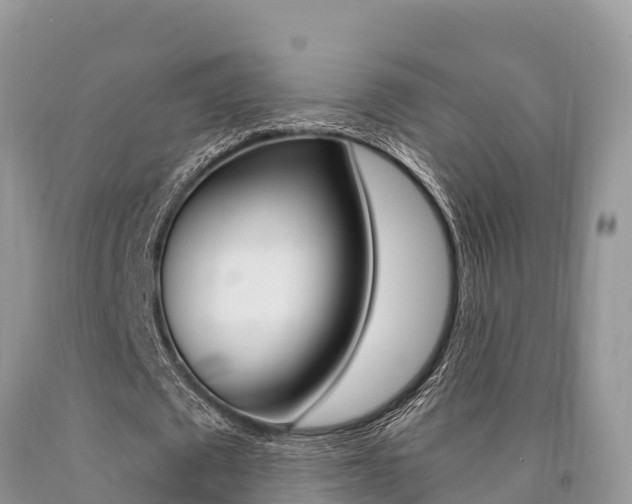 X0000090720673200707201014