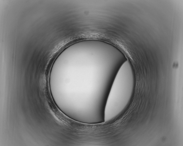 X0000090720674200707201014