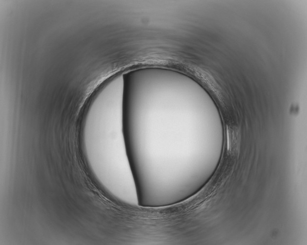 X0000090720675200707201014