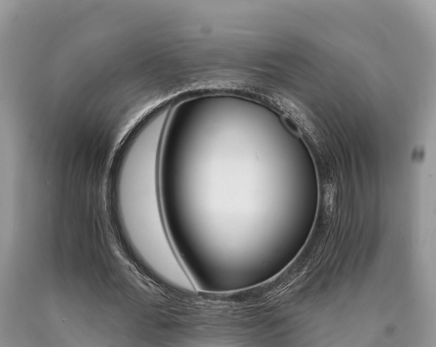 X0000090720676200707201014
