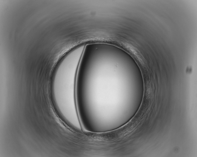 X0000090720677200707201014