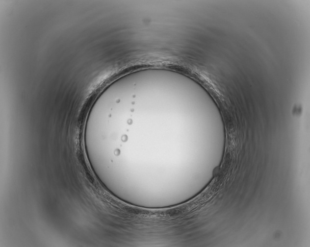 X0000090720679200707201014