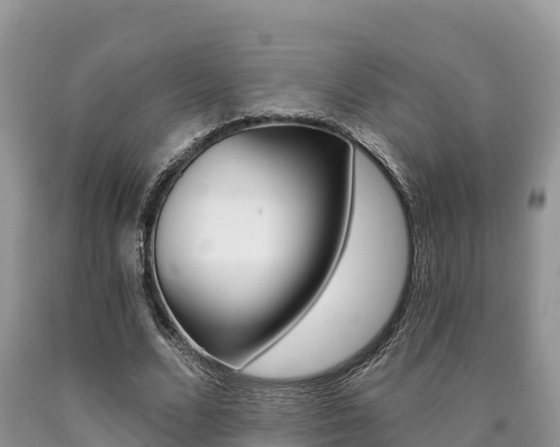 X0000090720680200707201014