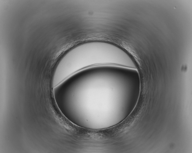 X0000090720681200707201014