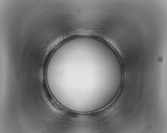 X0000090720682200707201014