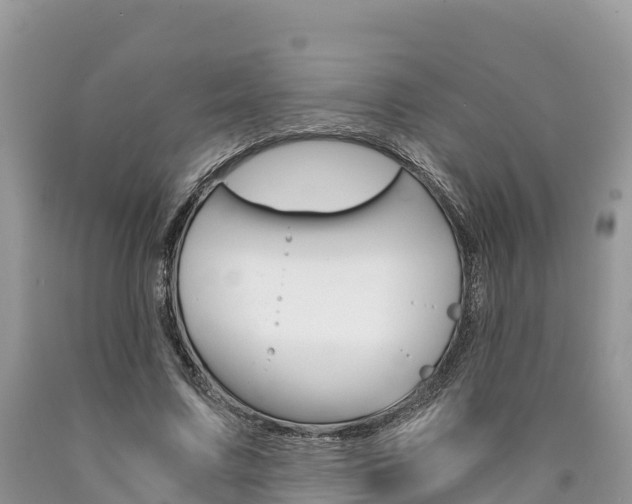 X0000090720683200707201014