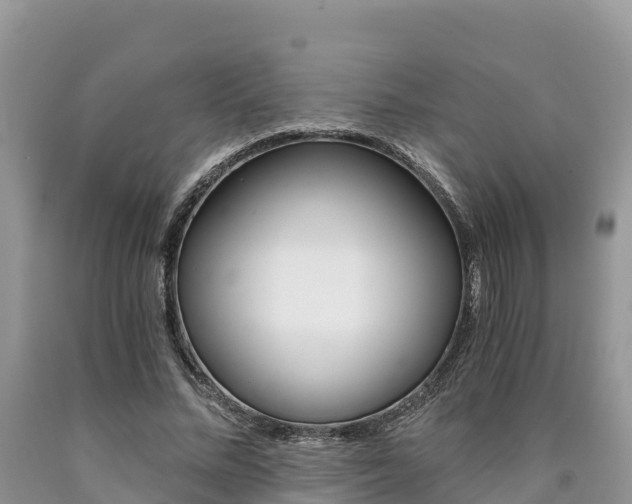 X0000090720684200707201014