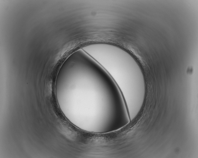 X0000090720685200707201014