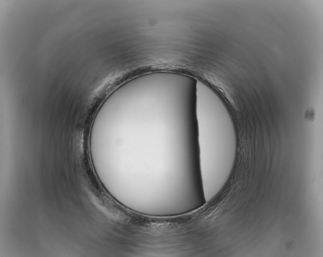 X0000090720686200707201014