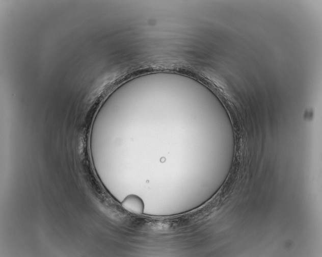 X0000090720687200707201014