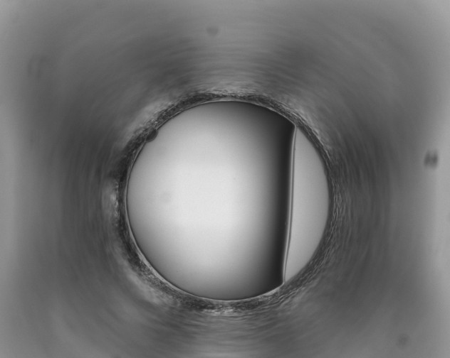 X0000090720688200707201014