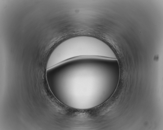 X0000090720689200707201014