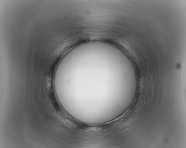 X0000090720691200707201014