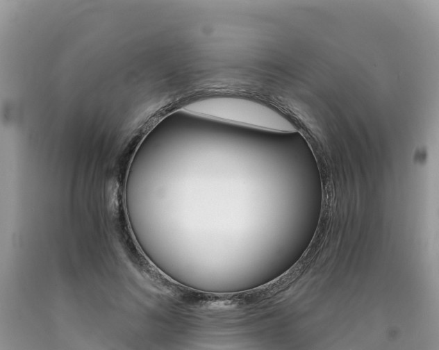 X0000090720692200707201014