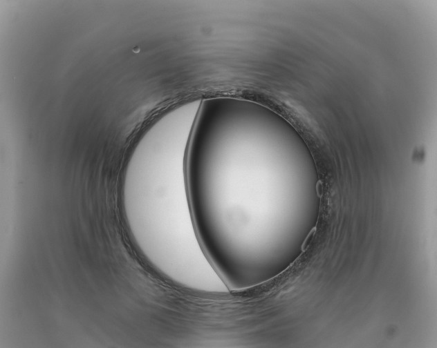X0000090720693200707201014