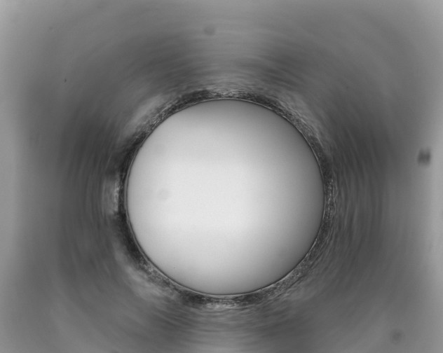 X0000090720694200707201014