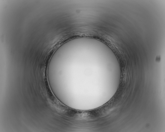 X0000090720695200707201014