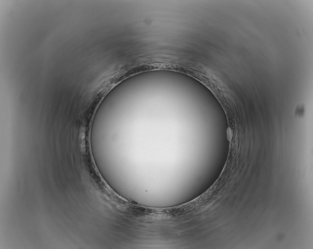 X0000090720696200707201014