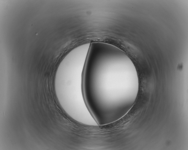 X0000090720697200707201014