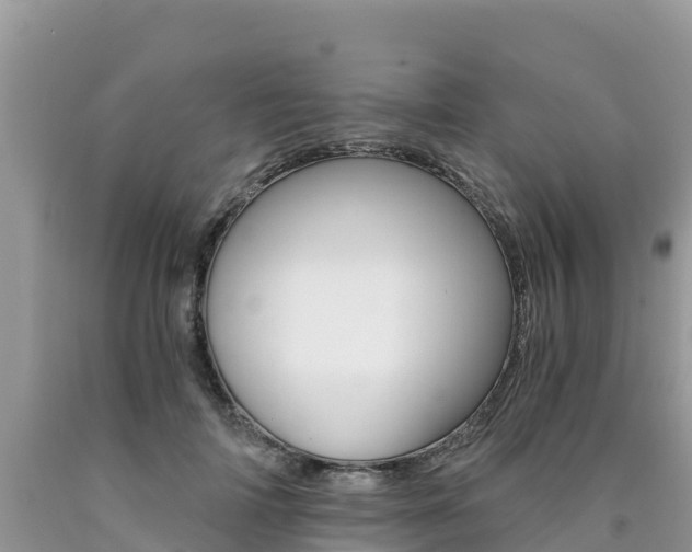 X0000090720698200707201014
