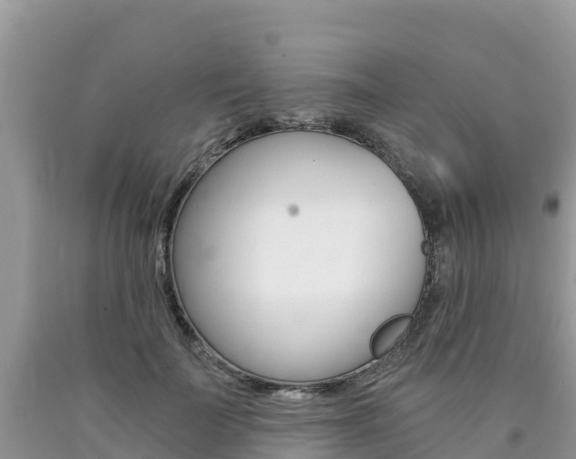 X0000090720699200707201014