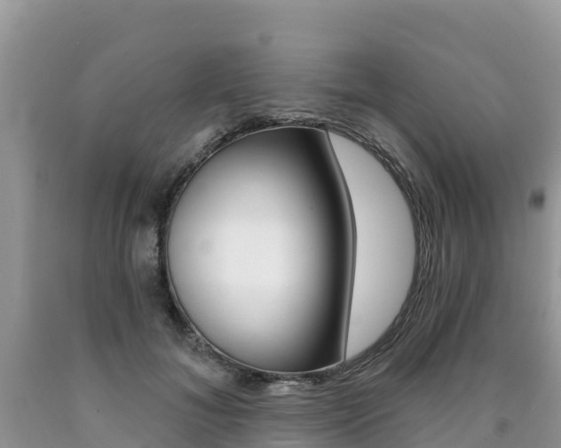X0000090720700200707201014