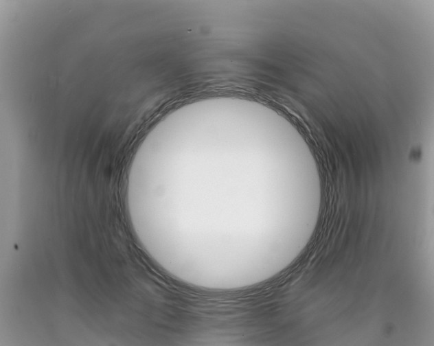 X0000090720701200707201014