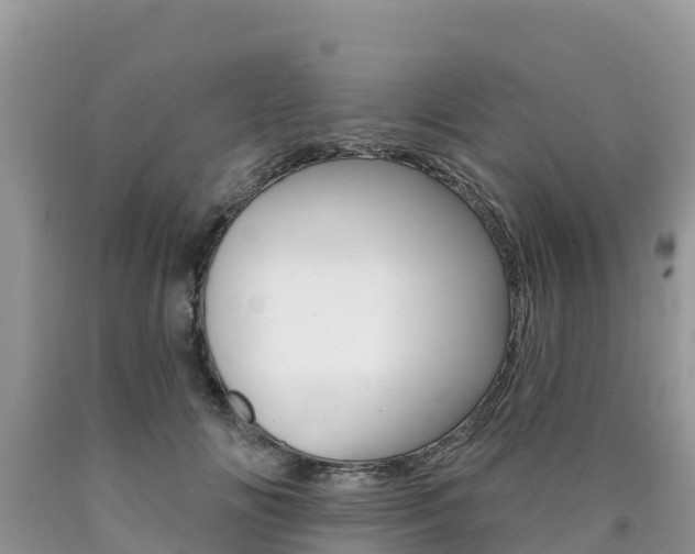 X0000090720702200707201014