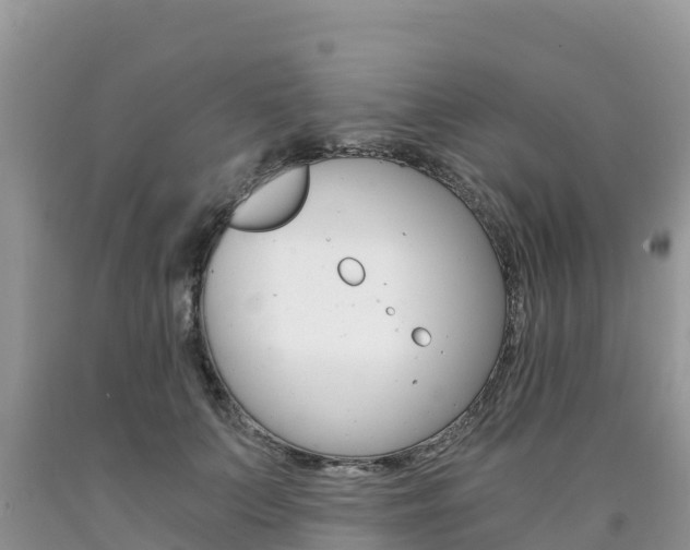 X0000090720703200707201014