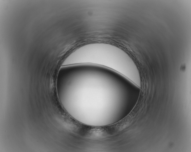 X0000090720704200707201014