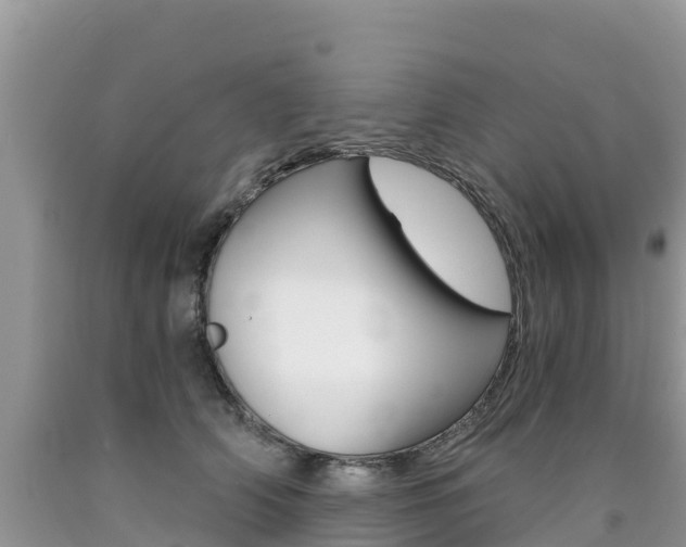 X0000090720706200707201014