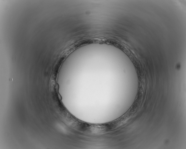X0000090720707200707201014