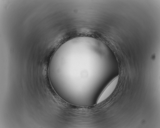 X0000090720708200707201014