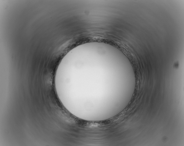 X0000090720710200707201014