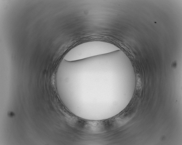 X0000090720713200707201013