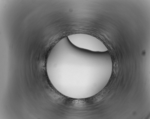 X0000090720714200707201013