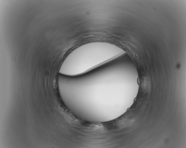X0000090720715200707201013