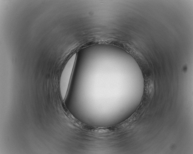 X0000090720716200707201013