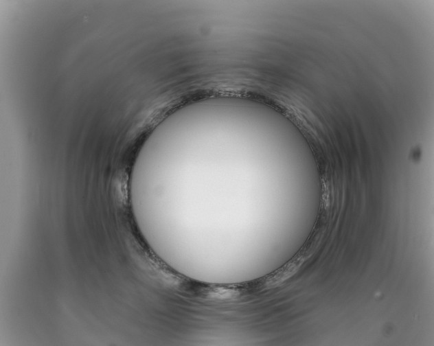 X0000090720718200707201013