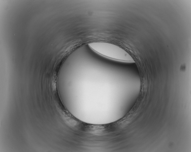 X0000090720719200707201013