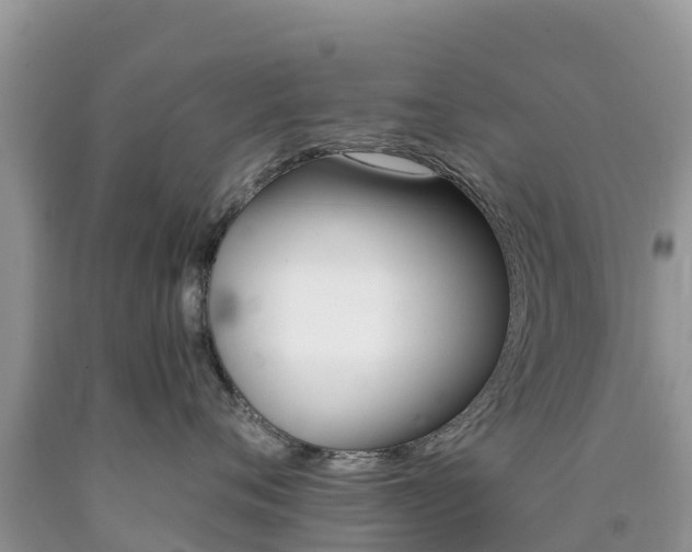X0000090720720200707201013